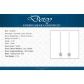  Zircon Special Earrings